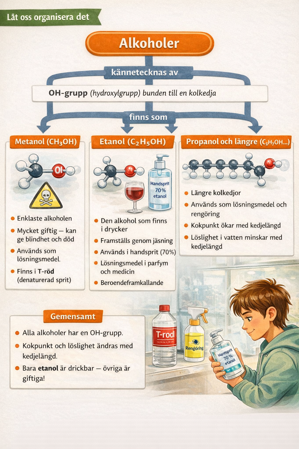 Let's Map It — Alkoholer: metanol, etanol, propanol, OH-grupp, jäsning