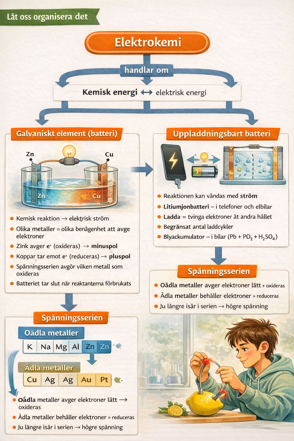 Begreppskarta: Elektrokemi → redox (oxidation/reduktion) → galvanisk cell (anod/katod/elektrolyt) → spänningsserien → spontanitet.