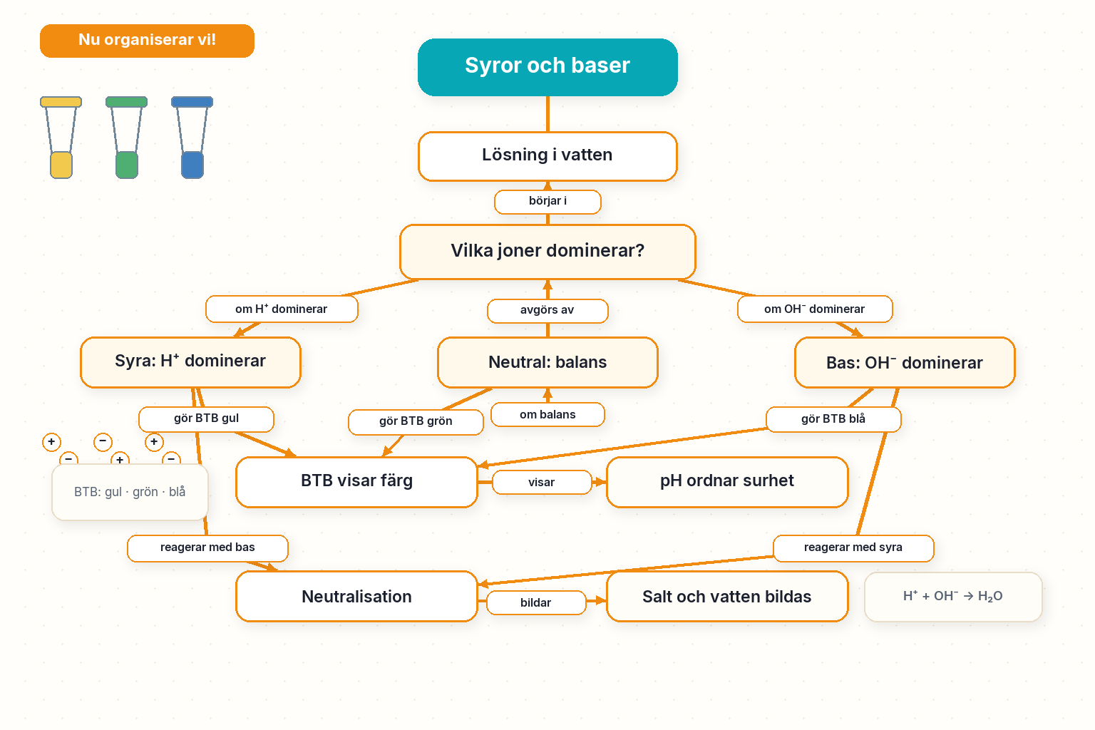 Låt oss organisera: syror, baser, pH-skala, indikatorer och neutralisation.