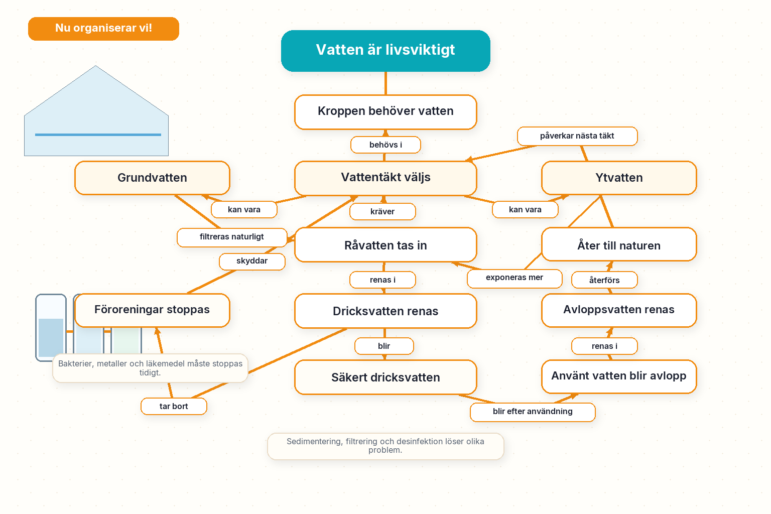 Låt oss organisera: vattenkretslopp, vattenrening, vattenbrist och samband.