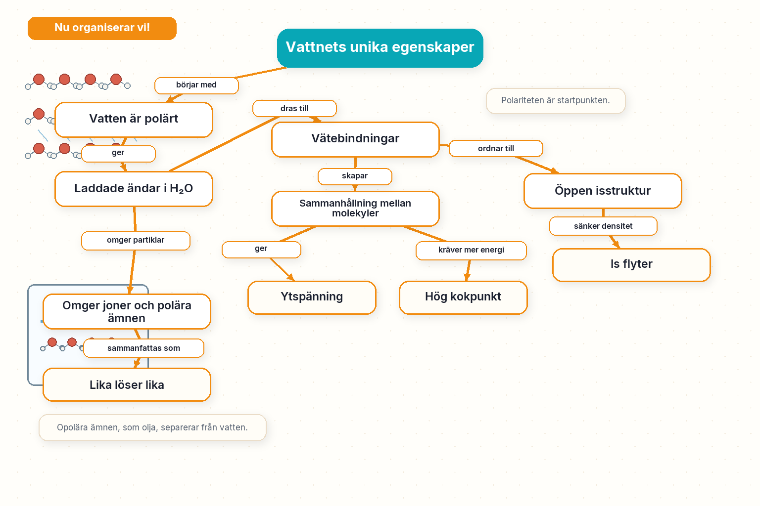 Begreppskarta — Vatten har unika egenskaper: polaritet, vätebindningar, ytspänning, densitet och löslighet.
